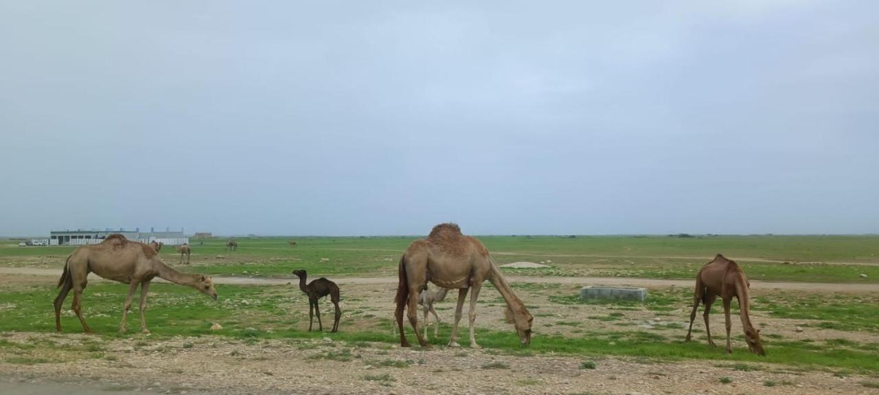 Ferienwohnung Acacia Flower Ac 8-201 Salalah Exterior foto